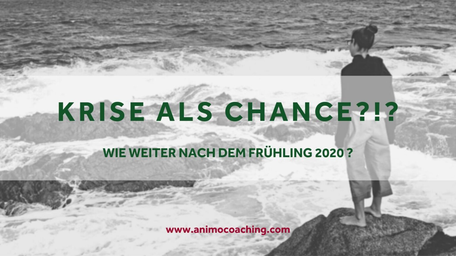 Krise als Chance? Das Leben im Sommer 2020 | Animo Coaching