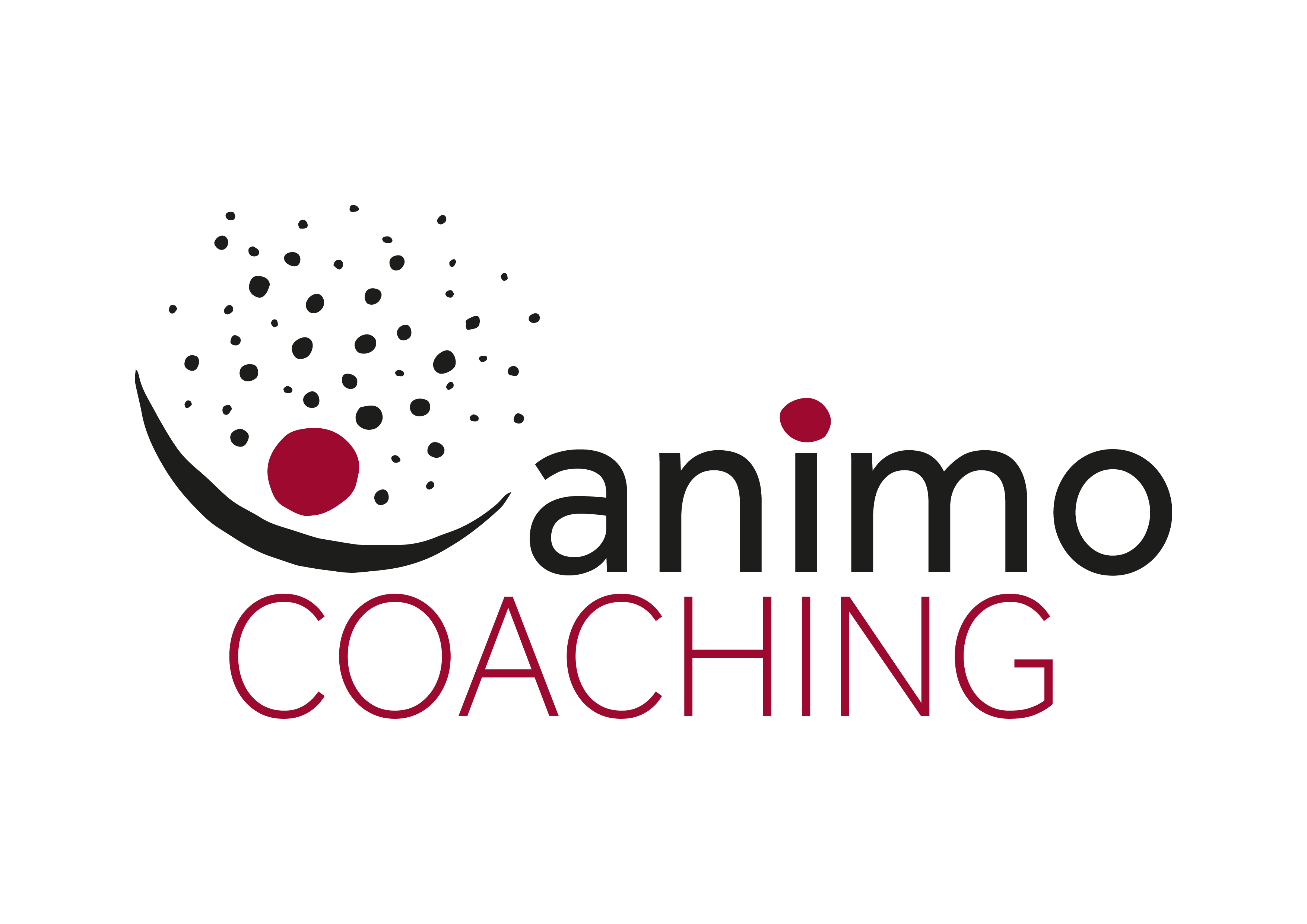 Animo_Coaching